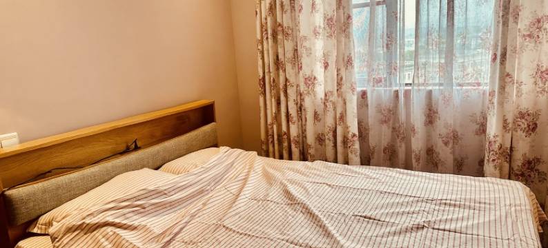 Lion小狮子公寓(湖岸西路1号分店)图片