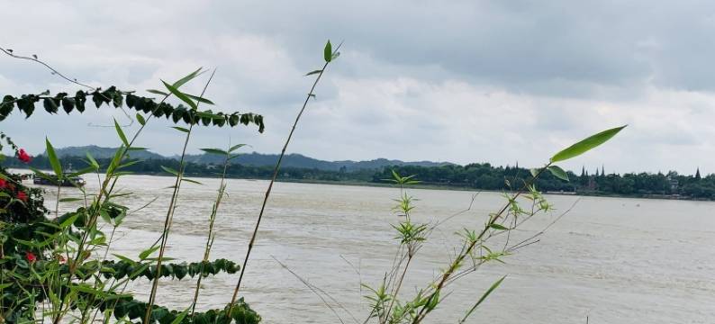 潘敏公寓(明月路分店)图片