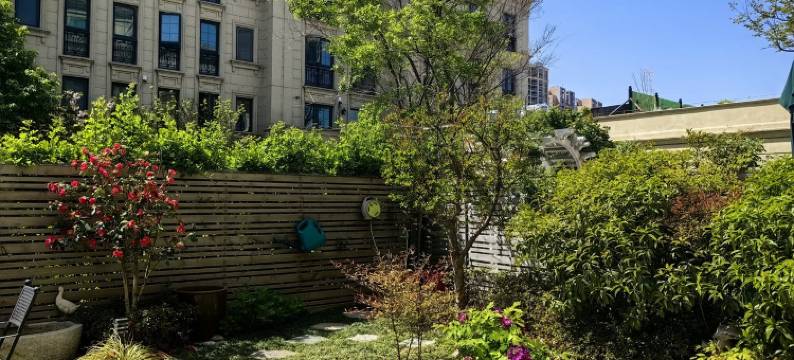 玫瑰小院(扬州东路分店)图片