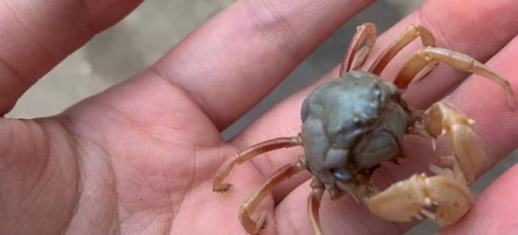 南海里民宿(金海岸大道店)图片