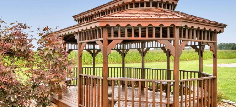 格雷维尔温德姆速8酒店(Super 8 by Wyndham Grayville)图片