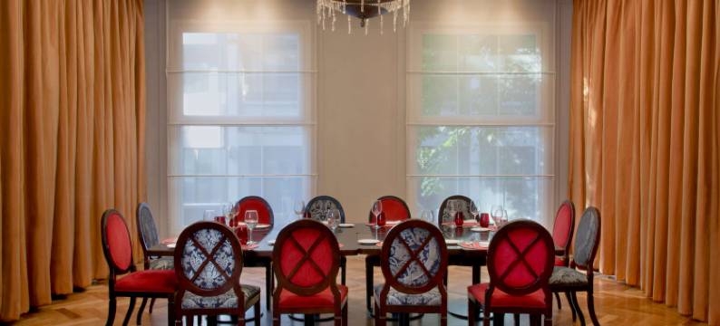 NH 布宜诺斯艾利斯兰开斯特精选酒店(NH Collection Buenos Aires Lancaster)图片