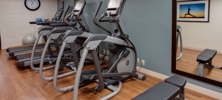 纳什维尔机场德鲁里套房酒店(Drury Inn & Suites Nashville Airport)图片