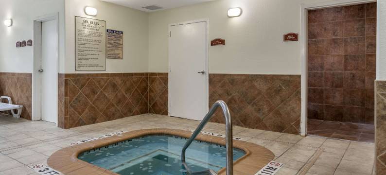 舒适套房酒店-医学中心近六旗(Comfort Suites Medical Center Near Six Flags)图片