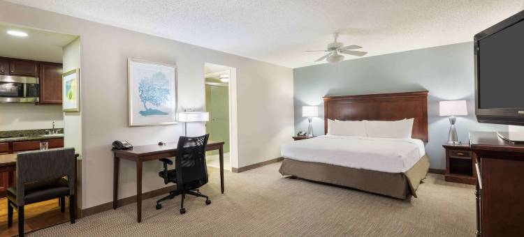 希尔顿坦帕机场-西岸家木套房酒店(Homewood Suites by Hilton Tampa Airport-Westshore)图片