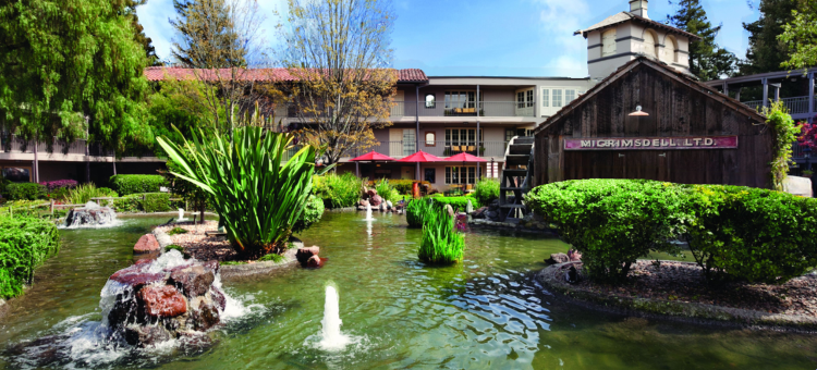 纳帕谷安泊套房酒店(Embassy Suites by Hilton Napa Valley)图片