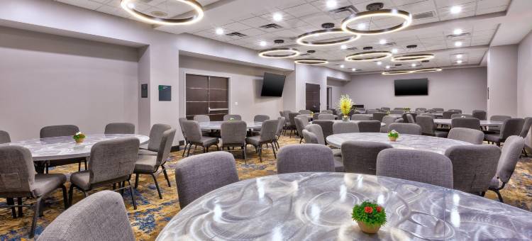 库克维尔假日酒店(Holiday Inn COOKEVILLE by IHG)图片