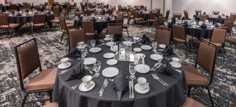 Holiday Inn 丹佛东 - 斯特普尔顿(Holiday Inn DENVER EAST by IHG)图片