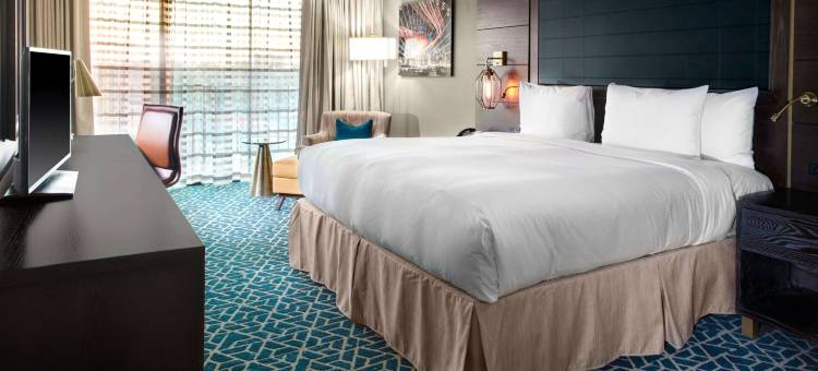 阿林顿南达拉斯沃斯堡国际机场希尔顿逸林酒店(Doubletree by Hilton Arlington DFW South)图片