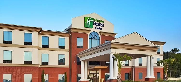 智选假日套房酒店赫恩(Holiday Inn Express & Suites Hearne)图片