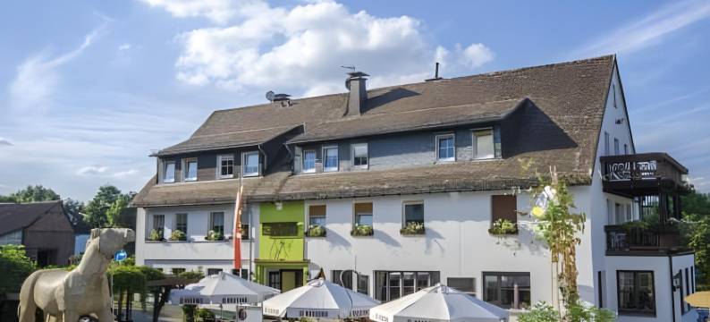 斯坦伯格瓦尔德怀塞自然酒店(Steinbergs Wildewiese NaturHotel)图片