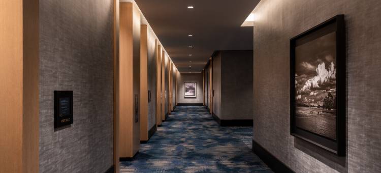 洛厄斯阿灵顿酒店(Loews Arlington Hotel)图片