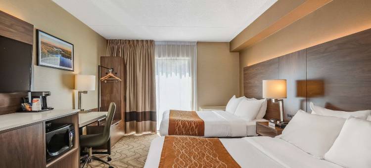 舒适酒店湖滨店(Comfort Inn Lakeshore)图片