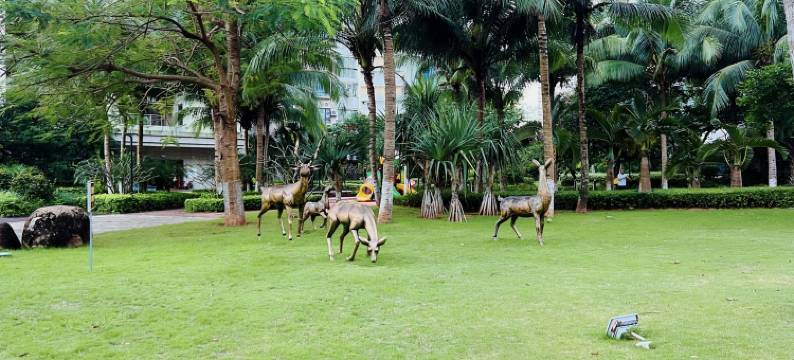 曦光昭海公寓(白金路分店)图片