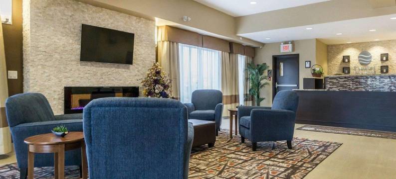 舒适套房酒店-埃德蒙顿国际机场(Comfort Inn & Suites Edmonton International Airport)图片