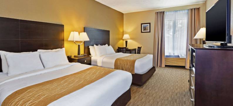 白厅舒适酒店 - 近密歇根冒险乐园(Comfort Inn Whitehall Near Michigan's Adventure)图片