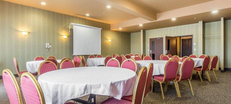 舒适套房酒店(Comfort Inn & Suites)图片