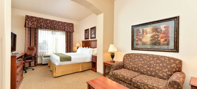 智选假日套房酒店拉斯克鲁塞斯(Holiday Inn Express & Suites Las Cruces)图片