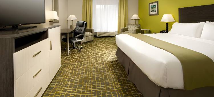 卡里维尔智选假日套房酒店(Holiday Inn Express & Suites Caryville)图片