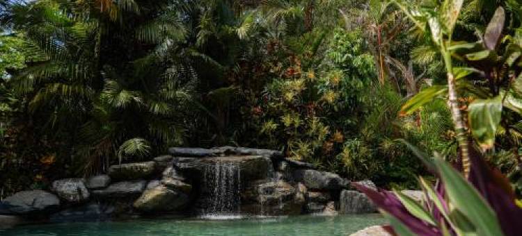 Daintree海滩度假村(Daintree Beach Resort)图片