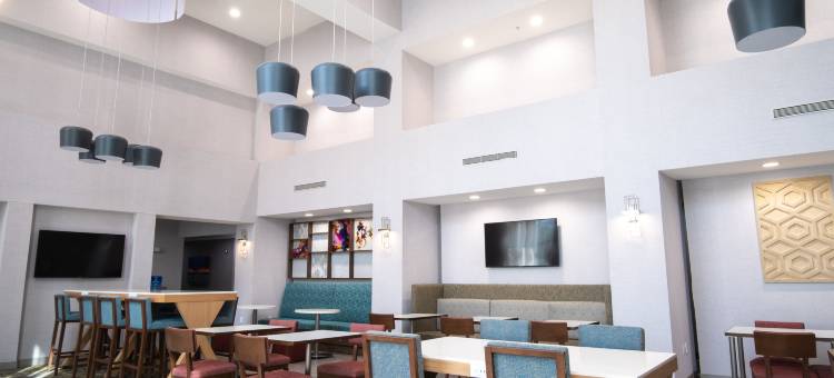 达拉斯路易斯维尔维斯塔里奇购物中心欢朋套房酒店(Hampton Inn & Suites Dallas-Lewisville/Vista Ridge Mall)图片