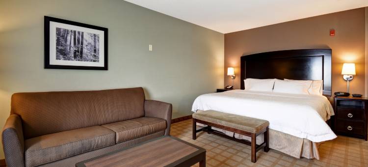 底特律坎顿欢朋套房酒店(Hampton Inn & Suites Detroit-Canton)图片