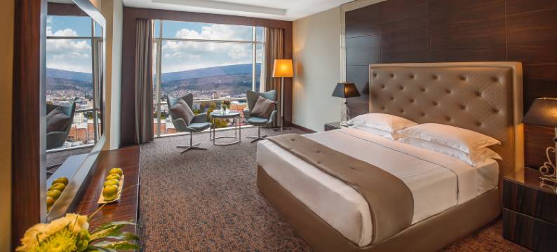 第比利斯比尔特莫尔酒店(The Biltmore Hotel Tbilisi)图片