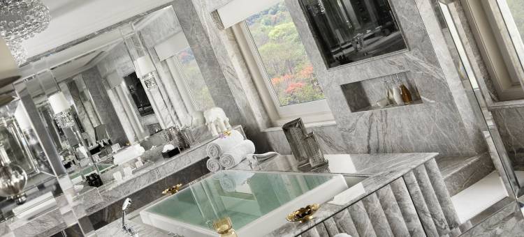 泰姬宫殿酒店，新德里(Taj Palace, New Delhi)图片