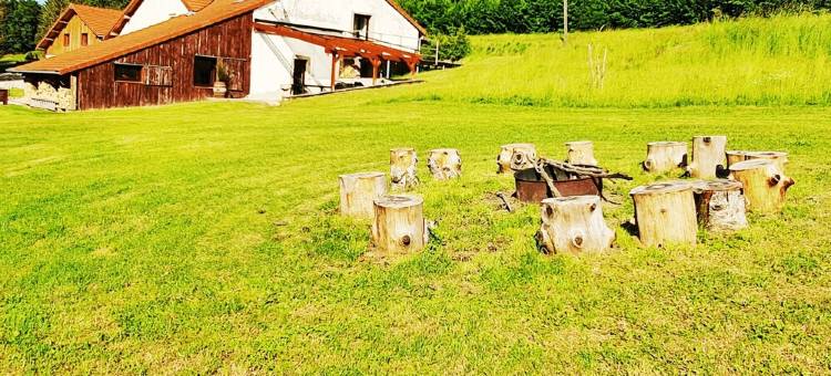 renovated farmhouse for groups and families in nature, dogs welcome, playground图片