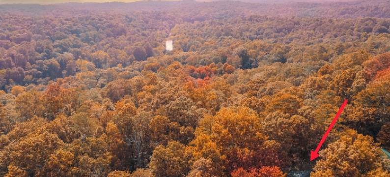 2800 sqft Forest Retreat!4 min to Pool- Hot Tub~Firepit~Dogs! 8 min to Town!图片