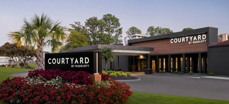 万怡酒店亚特兰大诺斯莱克(Courtyard Atlanta Northlake)图片