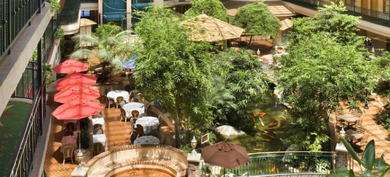 北阿纳海姆希尔顿安泊酒店(Embassy Suites by Hilton Anaheim North)图片