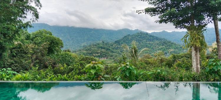 塞图姆布体验 ARTOTEL 精选(The Setumbu Experience, ARTOTEL Curated)图片