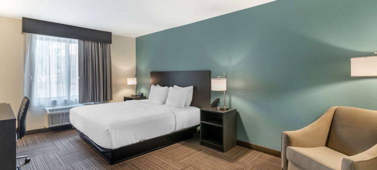 Best Western Plus Bluffton / Hilton Head Hotel图片