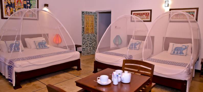 蓝象精品酒店(Blue Elephant Boutique Hotel)图片