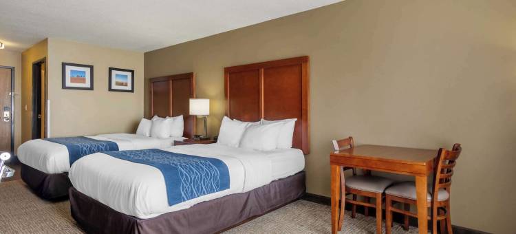 舒适套房酒店(Comfort Inn & Suites)图片