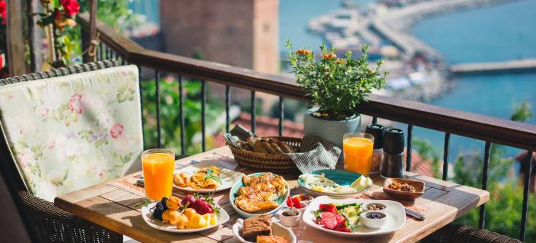 图卡别墅酒店(Hotel Villa Turka)图片