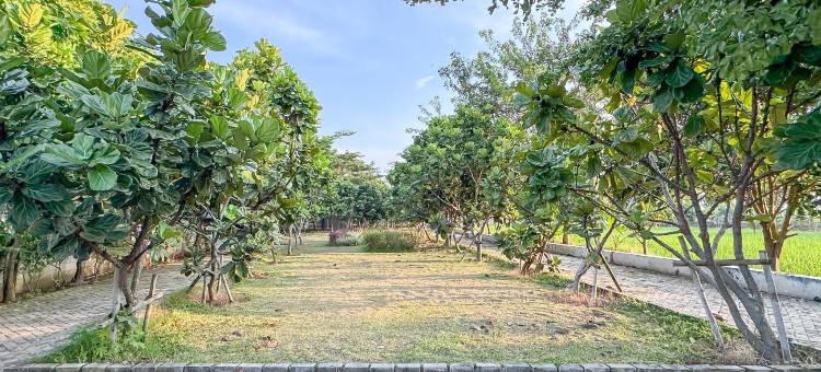 RedDoorz @ Hotel Mewah PLTU Indramayu图片