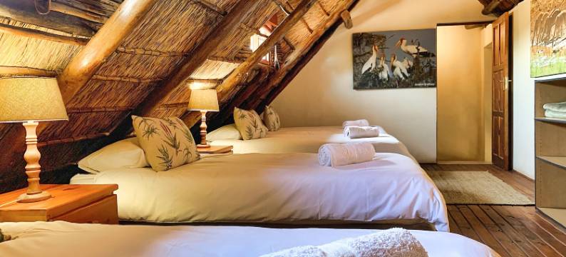 特什瓦洛狩猎小屋(Tshikwalo Game Lodge)图片