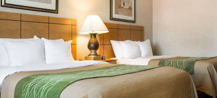 舒适酒店(Comfort Inn)图片