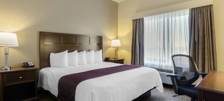 葡萄藤贝斯特韦斯特优质酒店(Best Western Plus Grapevine Inn)图片