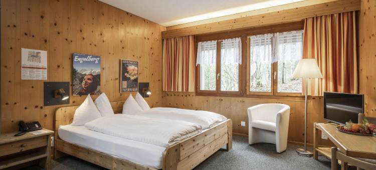 班克里阿尔普酒店(Hotel Restaurant Bänklialp)图片
