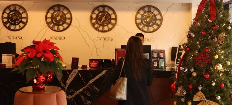 威灵顿酒店(Hotel Wellintown)图片