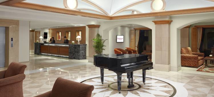 棕榈树林温德姆华美达广场酒店(Ramada Plaza by Wyndham Palm Grove)图片