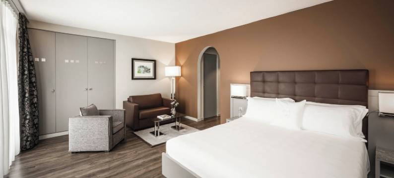 洛迦诺观景酒店(Hotel Belvedere Locarno)图片