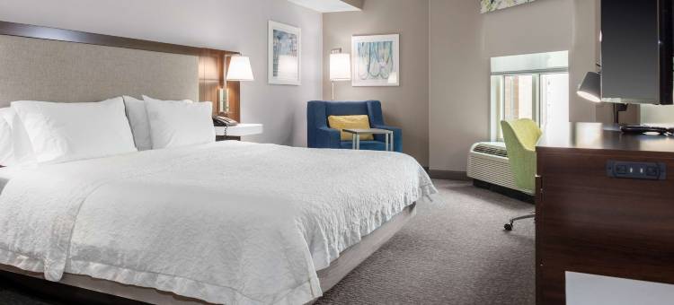 阿灵顿水晶城DCA希尔顿欢朋酒店及套房(Hampton Inn & Suites by Hilton Arlington Crystal City DCA)图片