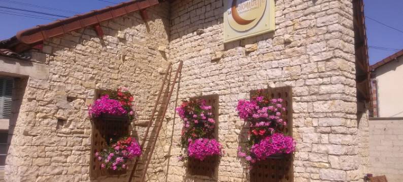 拉科隆贝尔酒店(Maison d'hôtes la Colombelle)图片