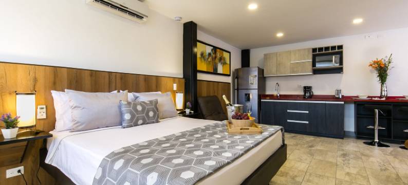 普旺萨阁楼酒店(Provenza Lofts)图片