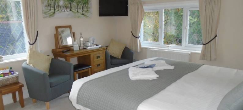 特朗博斯盖特威克住宿加早餐酒店(Trumbles Gatwick B&B)图片