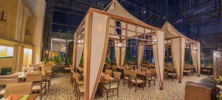 浦那辛吉瓦蒂兰花酒店(The Orchid Hotel Hinjewadi Pune)图片